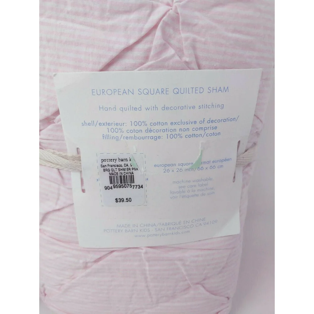 Pottery Barn Kids Brigette‎ Ruffle Quilted Shams Pair 2 European Square 26